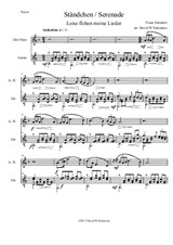 Ständchen (Serenade) alto flute and guitar
