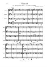 Modaliter for brass quartet (transposed)