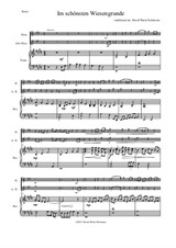 Im schönsten Wiesengrunde for flute, alto flute and piano