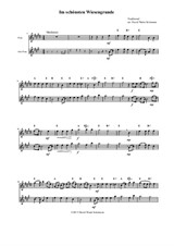 Im schönsten Wiesengrunde for flute, alto flute and guitar-chords