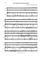 Im schönsten Wiesengrunde for violin, viola and piano