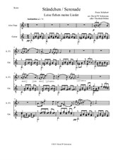 Ständchen (Serenade) for alto-flute and guitar after Theobald Böhm