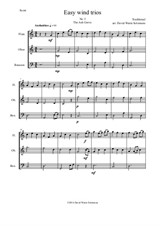 The Ash Grove (Llwyn Onn) for wind trio (flute, oboe, bassoon)