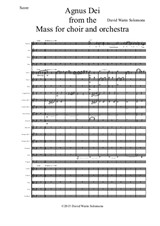 Agnus Dei from the Mass for choir and orchestra - score and parts