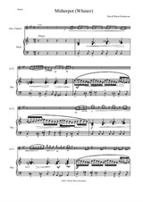 Mitherpot (or whiner or snowflake) for alto clarinet and piano