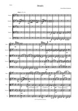 Details for string quintet (2 violins, 2 violas, 1 cello)