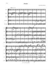 Details for flute quintet (3 C flutes, 1 alto flute, 1 bass flute)