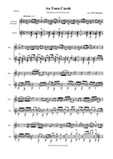 Au toun Coenh - for recorder and guitar - a spinning song from Gascony