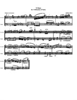 Thirteen Steps for clarinet and cello