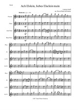 Ach Elslein, liebes Elselein mein for flute quartet (piccolo, flute, alto flute and bass flute)