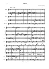 Details for flute quintet (1 piccolo, 2 C flutes, 1 alto flute, 1 bass flute)