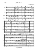 O Vos Omnes arranged for flute quintet