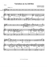 Variations on au Joli Bois for alto saxophone and harp