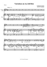 Variations on au Joli Bois for clarinet and harp