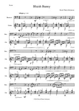 Bluish Bunny for bassoon and guitar