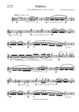 Delphine for contrabass flute solo