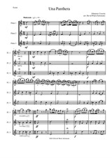 Una panthera in compagnia de Marte (A Panther in company of Mars) arranged for 3 flutes