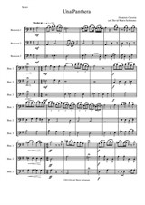 Una panthera in compagnia de Marte (A Panther in company of Mars) arranged for 3 bassoons