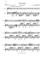 Die Forelle (The Trout) for alto flute and guitar