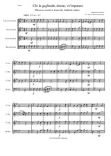 Chi la gagliarda (Whoever wants to learn the galliard) arranged for recorder quartet