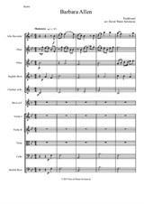 Barbara Allen for alto recorder and orchestra