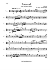 Telemensch (The isolated one) - for viola solo