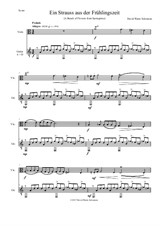 Ein Strauss aus der Frühlingszeit (A bunch of flowers from springtime) for viola and guitar