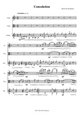 Consolation – a trio for flute, viola and guitar